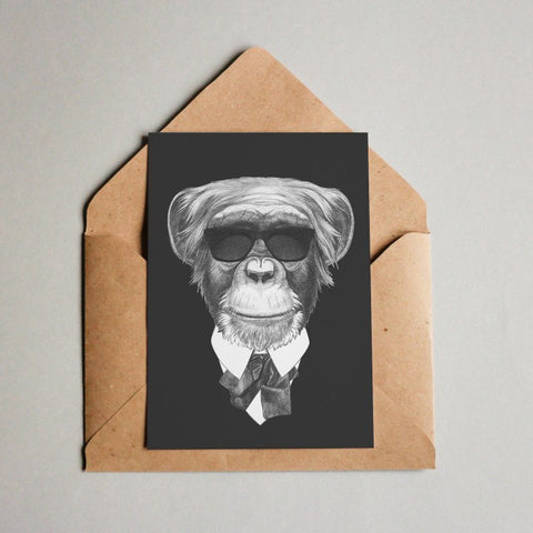 Posh Monkey 1