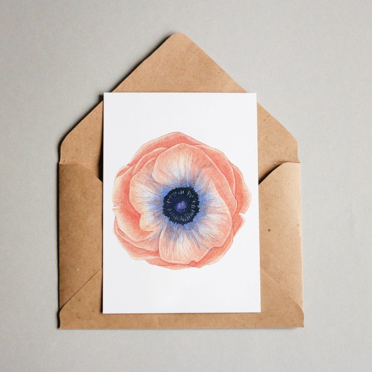 Anemone