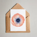 Anemone