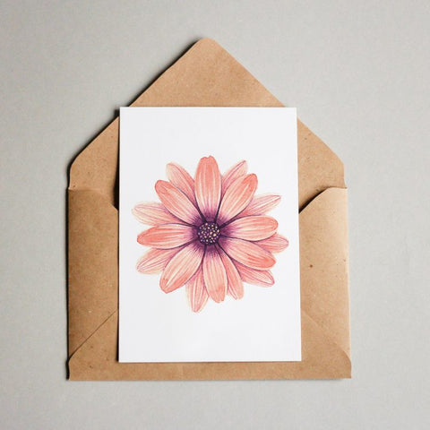 Gerbera 1